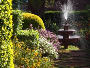 Wedding grounds for photo shoot in Runda_Nairobi_Karura House-min